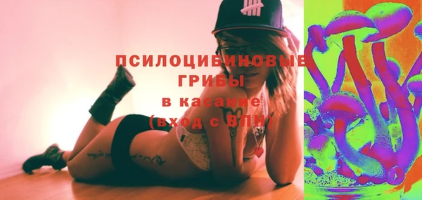 не бодяженный Алексин