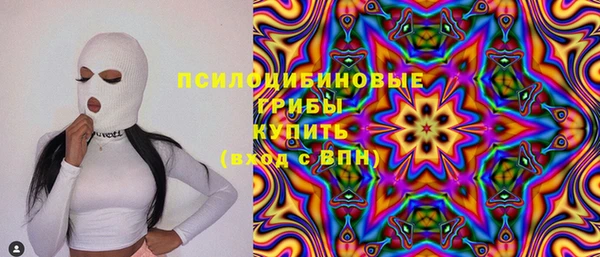 не бодяженный Алексин